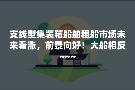 支线型集装箱船舶租船市场未来看涨，前景向好！大船相反~~~