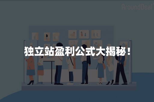 独立站盈利公式大揭秘！