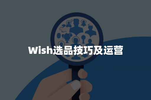 Wish选品技巧及运营