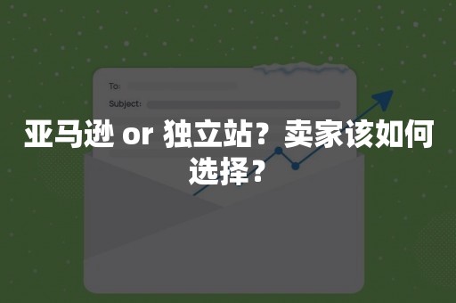 亚马逊 or 独立站？卖家该如何选择？