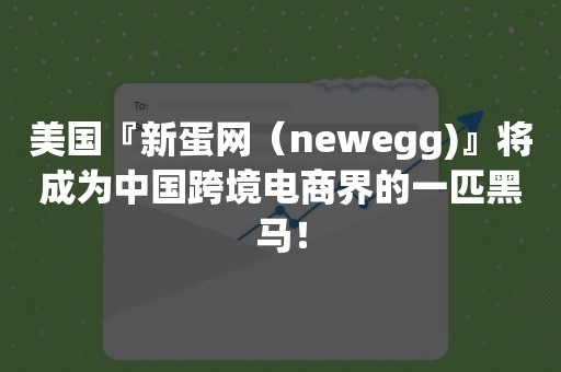 美国『新蛋网（newegg)』将成为中国跨境电商界的一匹黑马！