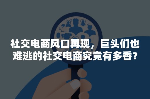 社交电商风口再现，巨头们也难逃的社交电商究竟有多香？