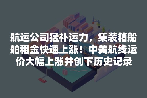 航运公司猛补运力，集装箱船舶租金快速上涨！中美航线运价大幅上涨并创下历史记录