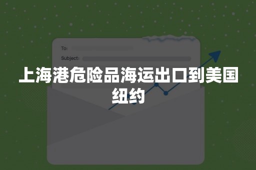 上海港危险品海运出口到美国纽约