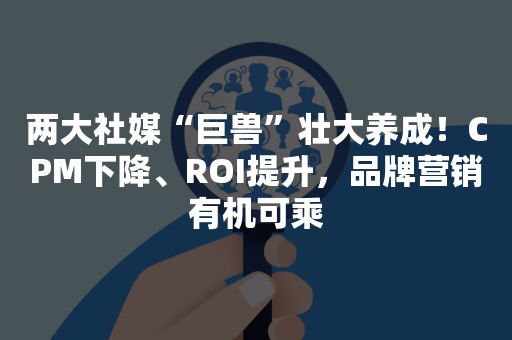 两大社媒“巨兽”壮大养成！CPM下降、ROI提升，品牌营销有机可乘