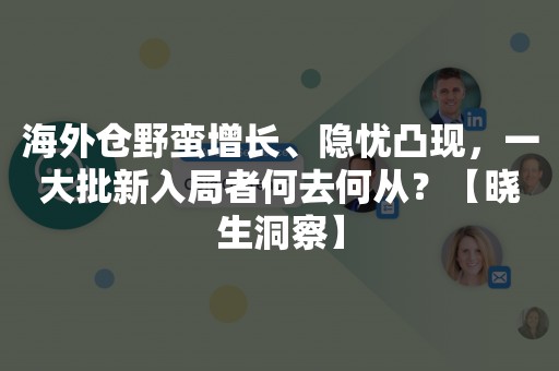 海外仓野蛮增长、隐忧凸现，一大批新入局者何去何从？【晓生洞察】