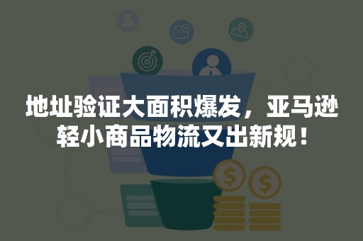 地址验证大面积爆发，亚马逊轻小商品物流又出新规！