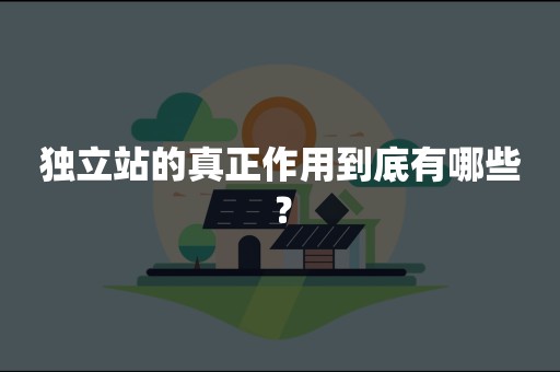 独立站的真正作用到底有哪些？