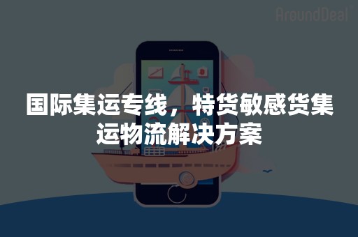 国际集运专线，特货敏感货集运物流解决方案