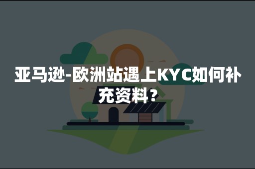 亚马逊-欧洲站遇上KYC如何补充资料？