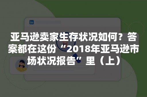 亚马逊卖家生存状况如何？答案都在这份“2018年亚马逊市场状况报告”里（上）