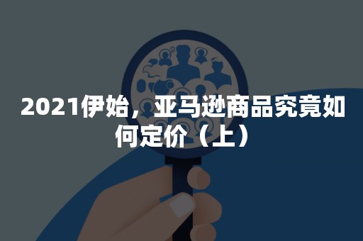 2021伊始，亚马逊商品究竟如何定价（上）