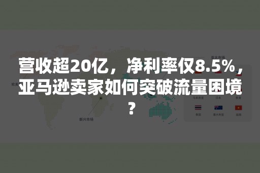 营收超20亿，净利率仅8.5%，亚马逊卖家如何突破流量困境？