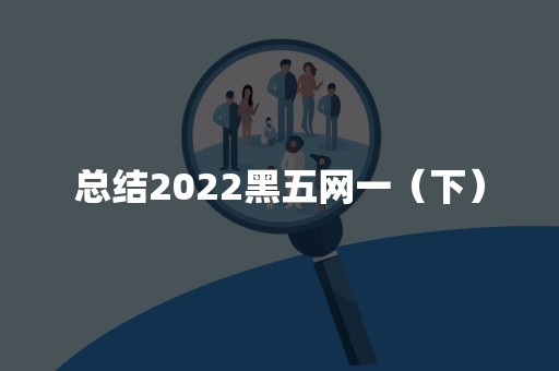 总结2022黑五网一（下）