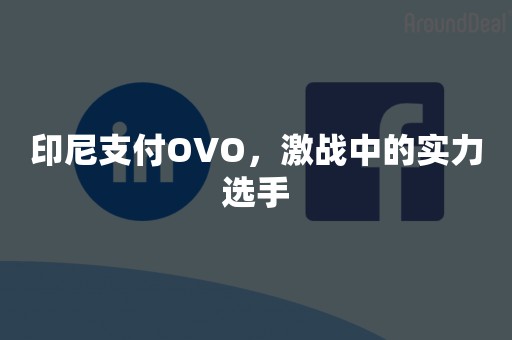 印尼支付OVO，激战中的实力选手