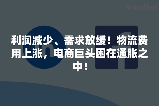 利润减少、需求放缓！物流费用上涨，电商巨头困在通胀之中！