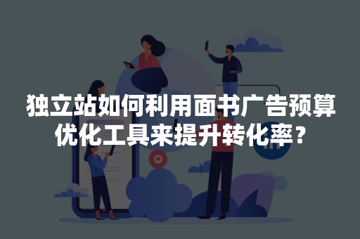 独立站如何利用面书广告预算优化工具来提升转化率？