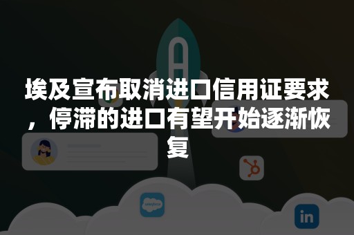 埃及宣布取消进口信用证要求，停滞的进口有望开始逐渐恢复