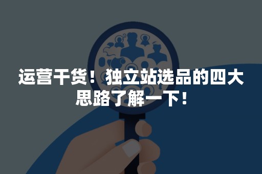 运营干货！独立站选品的四大思路了解一下！