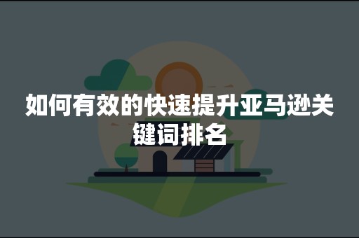 如何有效的快速提升亚马逊关键词排名