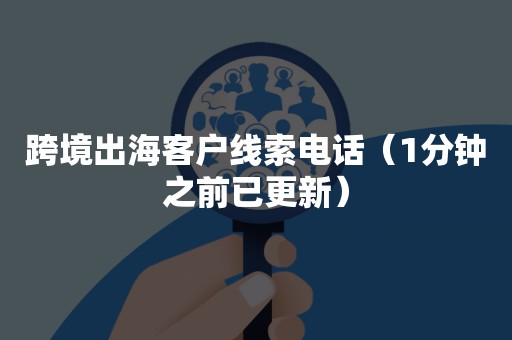 跨境出海客户线索电话（1分钟之前已更新）