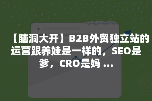 【脑洞大开】B2B外贸独立站的运营跟养娃是一样的，SEO是爹，CRO是妈 …