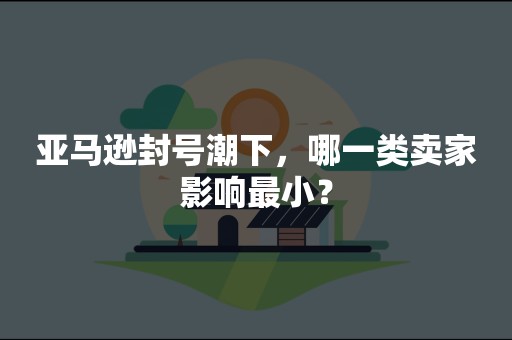 亚马逊封号潮下，哪一类卖家影响最小？