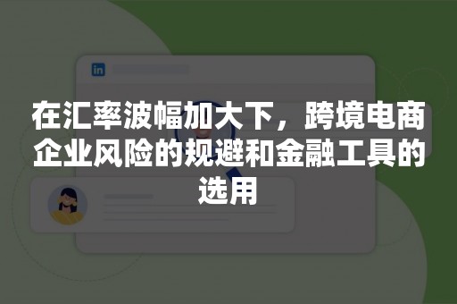 在汇率波幅加大下，跨境电商企业风险的规避和金融工具的选用