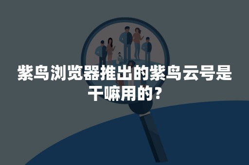 紫鸟浏览器推出的紫鸟云号是干嘛用的？