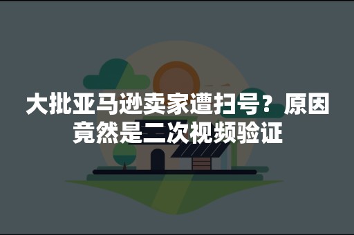 大批亚马逊卖家遭扫号？原因竟然是二次视频验证