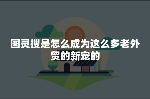 图灵搜是怎么成为这么多老外贸的新宠的