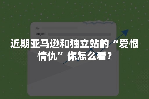 近期亚马逊和独立站的“爱恨情仇”你怎么看？