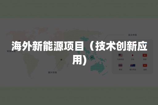 海外新能源项目（技术创新应用)