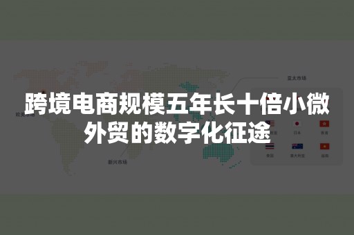 跨境电商规模五年长十倍小微外贸的数字化征途