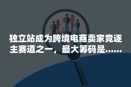 独立站成为跨境电商卖家竞逐主赛道之一，最大筹码是......