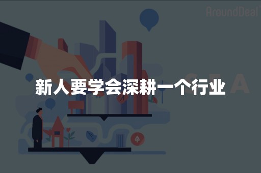 新人要学会深耕一个行业