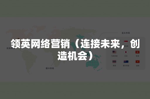 领英网络营销（连接未来，创造机会）