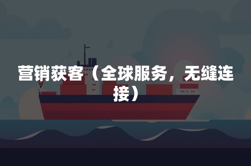 营销获客（全球服务，无缝连接）