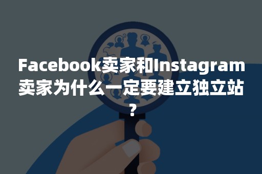 Facebook卖家和Instagram卖家为什么一定要建立独立站？