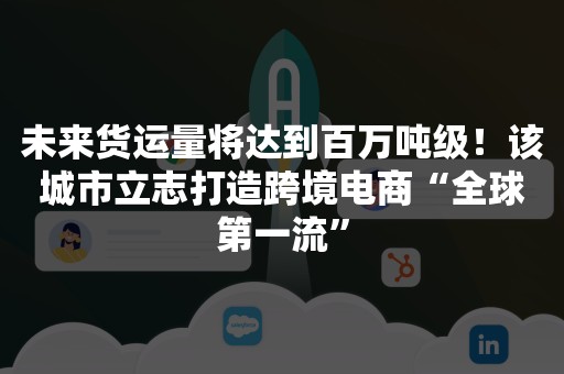 未来货运量将达到百万吨级！该城市立志打造跨境电商“全球第一流”