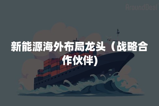 新能源海外布局龙头（战略合作伙伴)