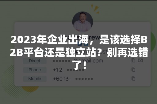 2023年企业出海，是该选择B2B平台还是独立站？别再选错了！