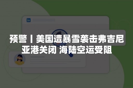 预警丨美国遭暴雪袭击弗吉尼亚港关闭 海陆空运受阻