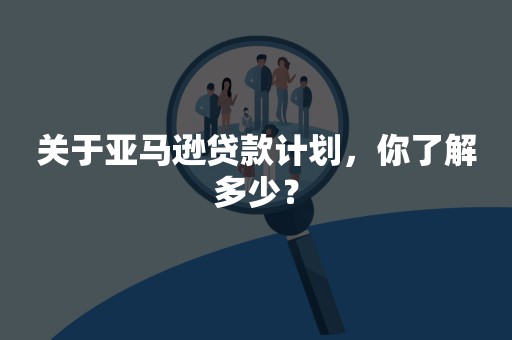 关于亚马逊贷款计划，你了解多少？