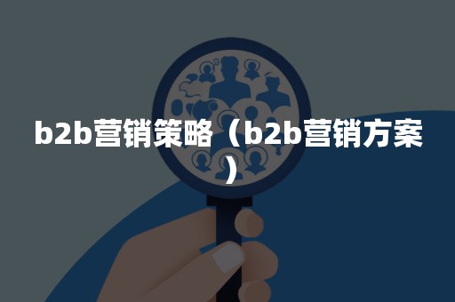 b2b营销策略（b2b营销方案）