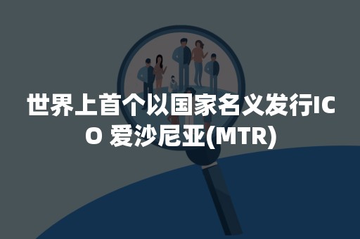 世界上首个以国家名义发行ICO 爱沙尼亚(MTR)