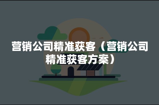 营销公司精准获客（营销公司精准获客方案）