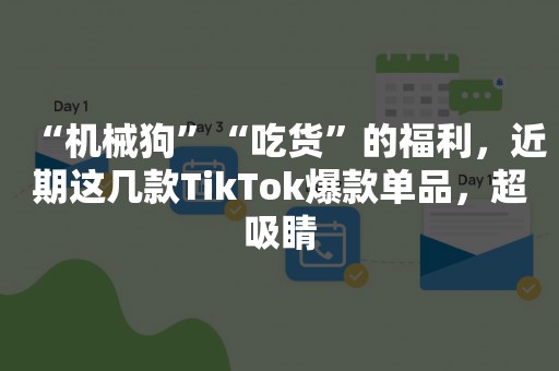 “机械狗”“吃货”的福利，近期这几款TikTok爆款单品，超吸睛