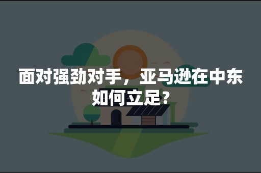 面对强劲对手，亚马逊在中东如何立足？