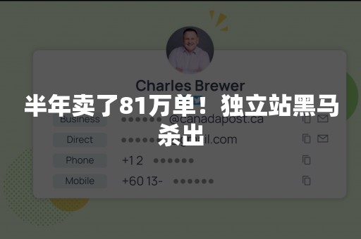 半年卖了81万单！独立站黑马杀出